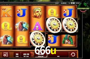 Interface Premium 666u
